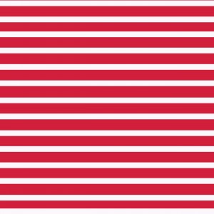 RASPBERRY Stripes